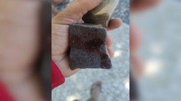 Guarda relatou ter quase perdido a consciência, após pedrada na cabeça - Reprodução/Polícia Civil