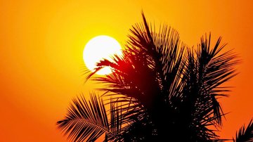Alta umidade do ar deve aumentar a sensação de calor no litoral de SP - Imagem ilustrativa/Unsplash