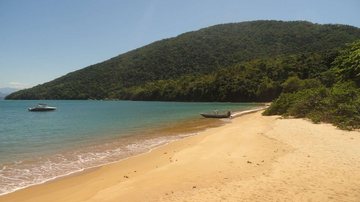 Empresa Ebram Fiori Hostels foi vencedora do processo para permissão de uso e ficará responsável por aprimorar a prestação dos serviços aos visitantes Governo de SP inicia operação de turismo ecológico na Ilha Anchieta, em Ubatuba Vista da Ilha Anchieta pa - Reprodução / Prefeitura de Ubatuba