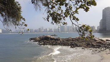 Folhas do outono devem continuar por mais um tempo nos galhos, enquanto a chuva “atrasadinha” cai - Esther Zancan