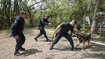 Equipe do Canil da GCM prestou apoio em operação da Polícia Militar Rodoviária - Imagem ilustrativa/Reprodução/Prefeitura de Praia Grande
