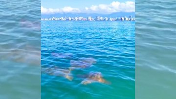 Raias aproveitaram a manhã ensolarada de sábado para um "rolê" na orla de Praia Grande - Reprodução/Instagram Prefeitura de Praia Grande