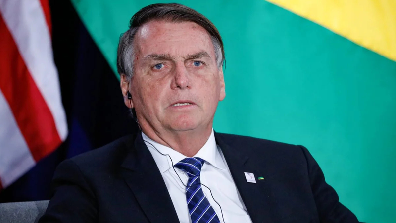 MPF entende que Bolsonaro se aproximou da baleia jubarte de forma não intencional - Alan Santos/PR
