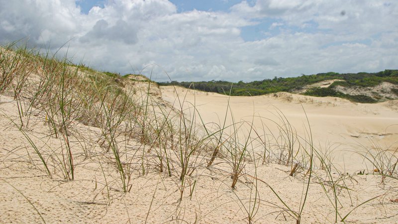 Trecho de dunas do vilarejo Pedrinhas - Pedro Rezende / Arquivo CN