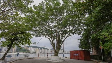 É a terceira vez consecutiva que Guarujá ganha o selo - Prefeitura de Guarujá