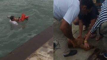 Animal foi resgatado com vida, mas visivelmente assustado e exausto - Divulgação/Semil