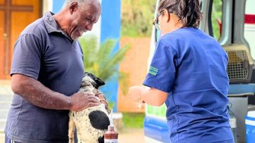 Praia do Bonete e bairro Borrifos já receberam a ação neste mês de abril - Prefeitura de Ilhabela