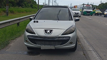 Motorista do veículo disse que não houve tempo para frear e desviar da vítima - Reprodução/CCI Artesp