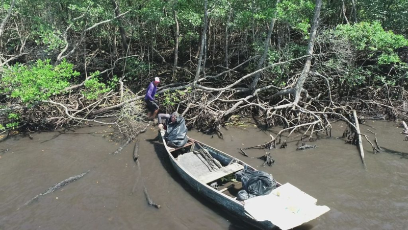 Iniciativa foi criada inicialmente em 2022 para as cidades de Cananeia, Itanhaém e Ubatuba - Divulgação/Semil