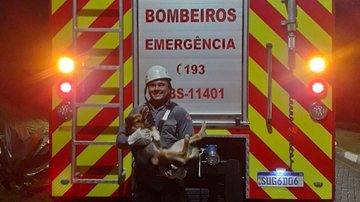 Animal foi encaminhado ao Centro de Zoonoses e passa bem - Divulgação/11°GB