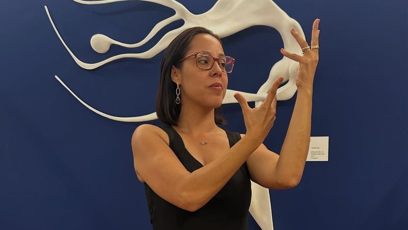 Curso de libras, na Pinacoteca, amplia acesso à cultura com foco em empatia e comunicação inclusiva - Divulgação