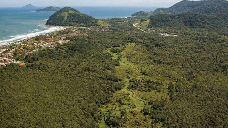 Área da APA Baleia Sahy, protegida pelo Instituto de Conservação Costeira - Divulgação / ICC