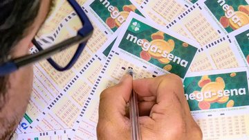 Jogos podem ser registrados até às 19 horas do dia do sorteio - Rafa Neddermeyer/Agência Brasil
