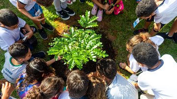 Alunos participam do plantio de pau-brasil e ipê-amarelo na unidade Pastor Joaquim Rodrigues, em São Vicente - Divulgação/Prefeitura de São Vicente