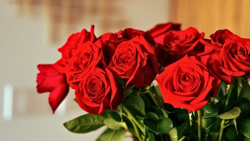 Buquê simples de rosas vermelhas entre R$ 202,90 a R$ 99,90 - Imagem ilustrativa/Unsplash