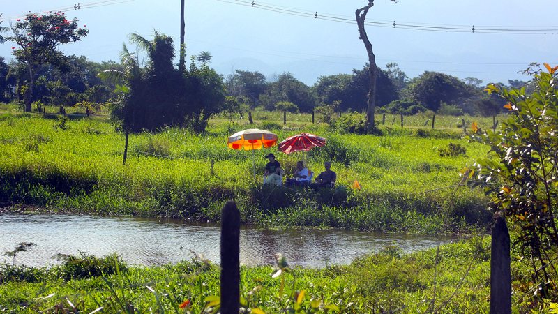 Pesca em afluente do rio Juqueriquerê, em Caraguatatuba - Foto Reginaldo Pupo - Reginaldo Pupo