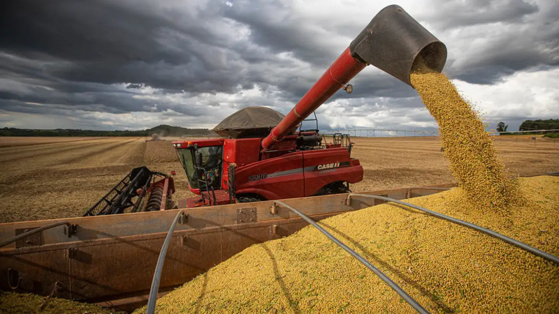 pib-cresce-14-no-1-trimestre-de-2025-puxado-pela-agropecuaria