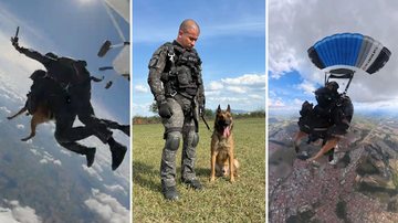 Cão Coyote, da PM de SP