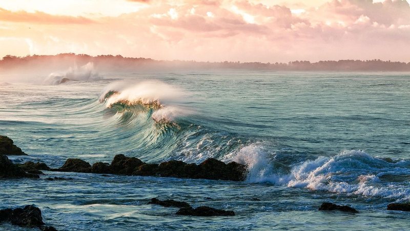 Acidez dos oceanos ultrapassa limite ambiental seguro, aponta estudo internacional