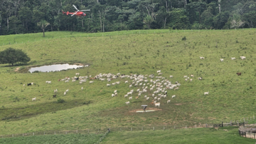 agentes-do-icmbio-sofrem-ataques-durante-operacao-contra-desmatamento-no-acre