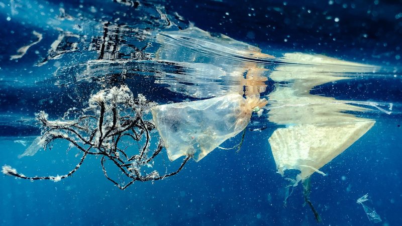 Dossiê alerta para riscos da ocupação desordenada das praias