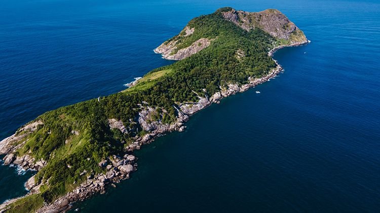 Ilha da Queimada Grande vista de cima