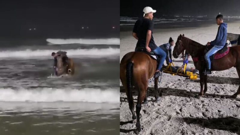 Jovem entra no mar a cavalo e resgata homem de afogamento em praia do litoral de SP