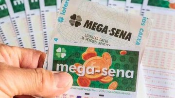 Volante e jogo da Mega-Sena