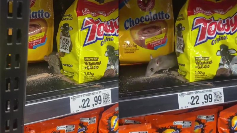 Roedor é flagrado consumindo achocolatado em prateleira do Supermercado Semar