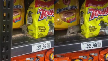 Roedor é flagrado consumindo achocolatado em prateleira do Supermercado Semar