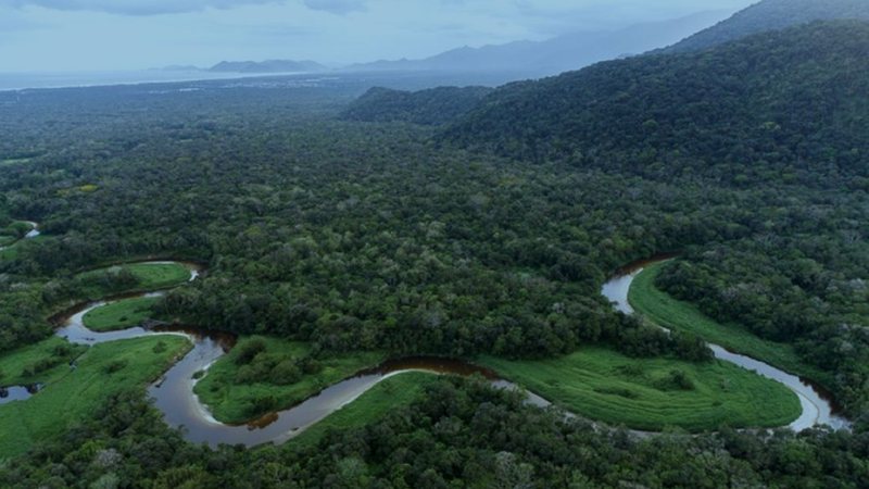 Nova medida muda o mapa de proteção ambiental em SP com mais 400 hectares