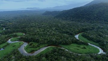 Nova medida muda o mapa de proteção ambiental em SP com mais 400 hectares