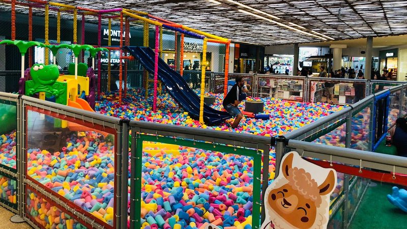 Atração ficará no shopping até 10 de agosto - Jéssica Aquino
