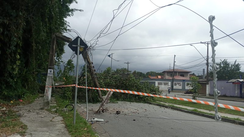 Queda de árvore interrompe energia e bloqueia via em bairro de Bertioga