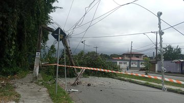 Queda de árvore interrompe energia e bloqueia via em bairro de Bertioga