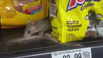 Cena registrada por cliente mostra rato sobre prateleira com produtos alimentícios em mercado