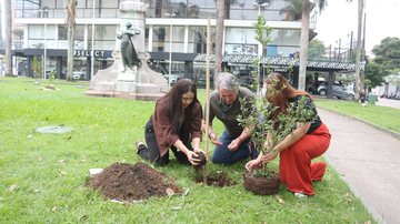 Santos recebe mudas nativas da Mata Atlântica que correm risco de extinção; veja quais são
