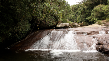 semana-do-meio-ambiente-tera-acoes-em-parques-do-litoral-de-sp