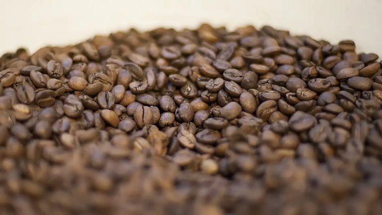 Veja quais 'cafés' foram proibidos pela Anvisa e podem afetar sua saúde