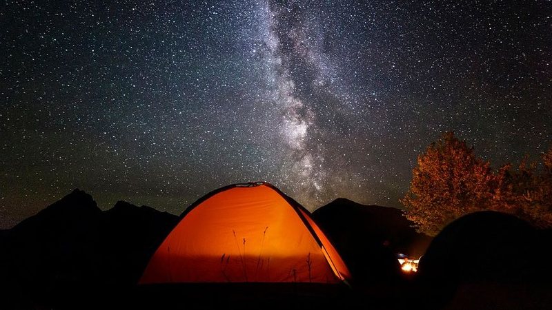 Você passaria a noite em meio à mata fechada? Conheça esse camping antes que termine