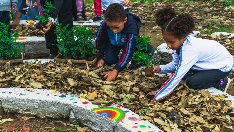 Alunos de Bertioga criam mandala aromática com 800 mudas na escola