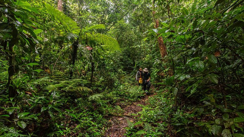 Confira roteiros tranquilos para curtir o inverno em cidade no litoral de SP