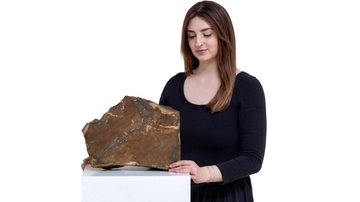 Entenda por que essa pedra vale mais que uma mansão