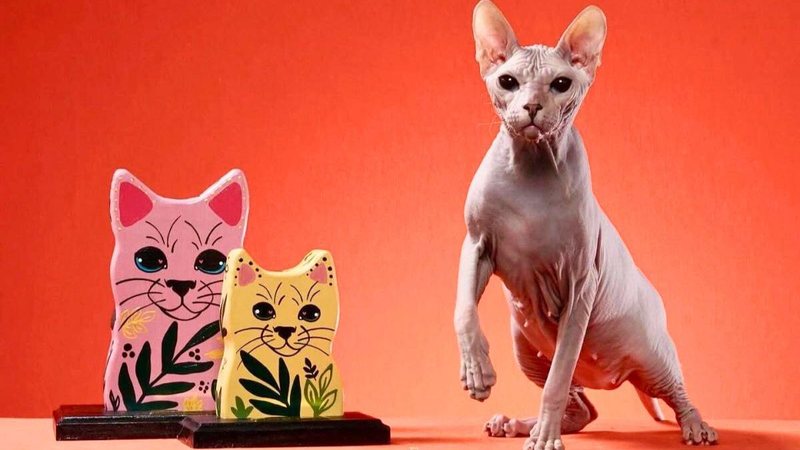 Gato com esculturas de gatos