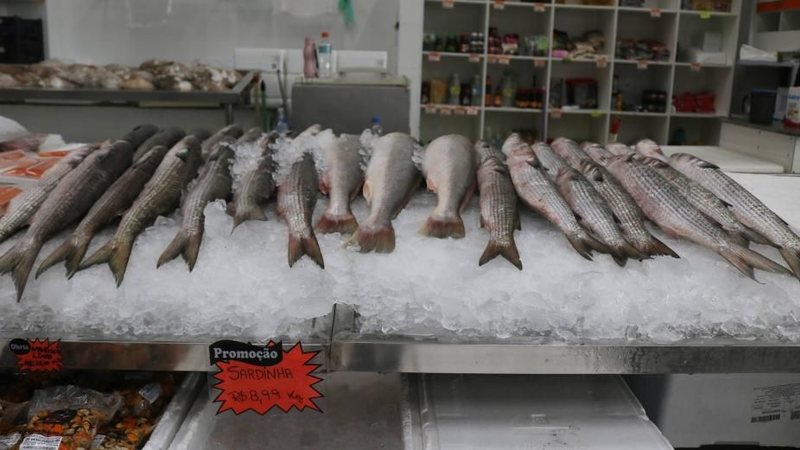 Peixe barato em Santos: Festival da Tainha começa com menor preço dos últimos anos