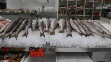 Peixes no Mercado de Peixes de Santos