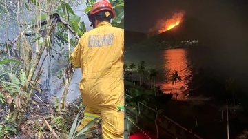 Incêndio de 30h atinge área de 14 campos de futebol no litoral de SP; veja imagens