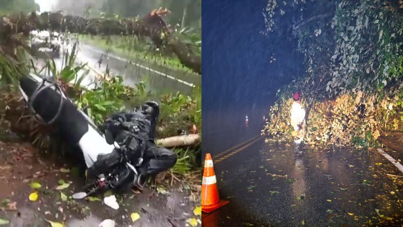 Motociclista se choca com árvore caída em rodovia do litoral de SP