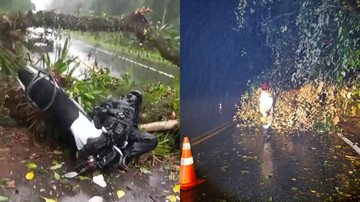 Motociclista se choca com árvore caída em rodovia do litoral de SP