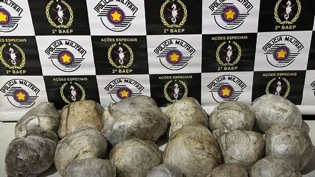 Polícia encontra 6kg de maconha em mata no litoral de SP
